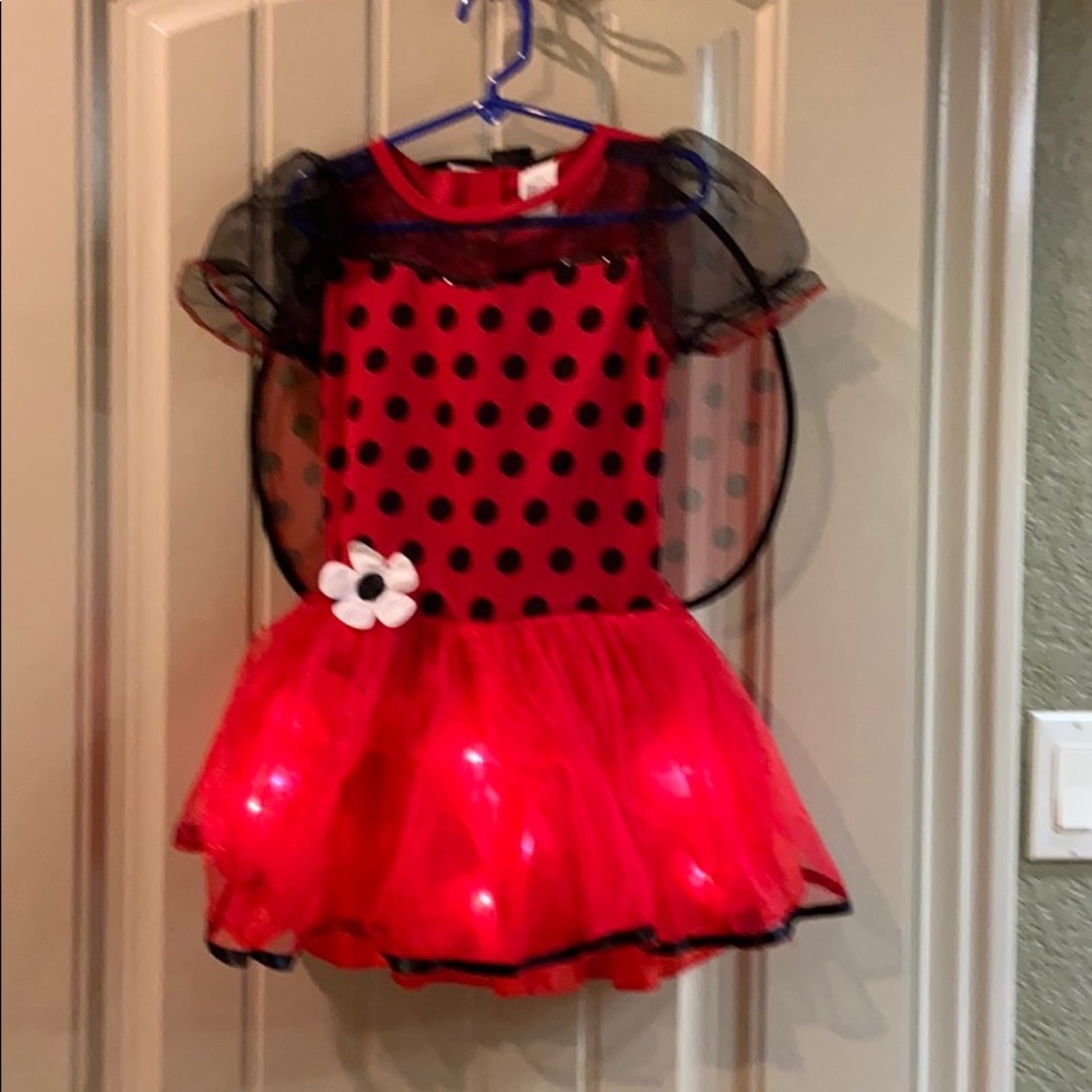 Lady Bug. EUC!